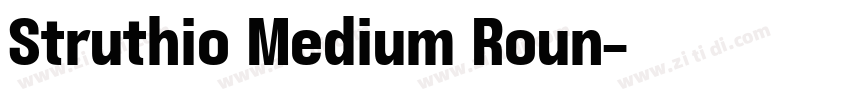 Struthio Medium Roun字体转换